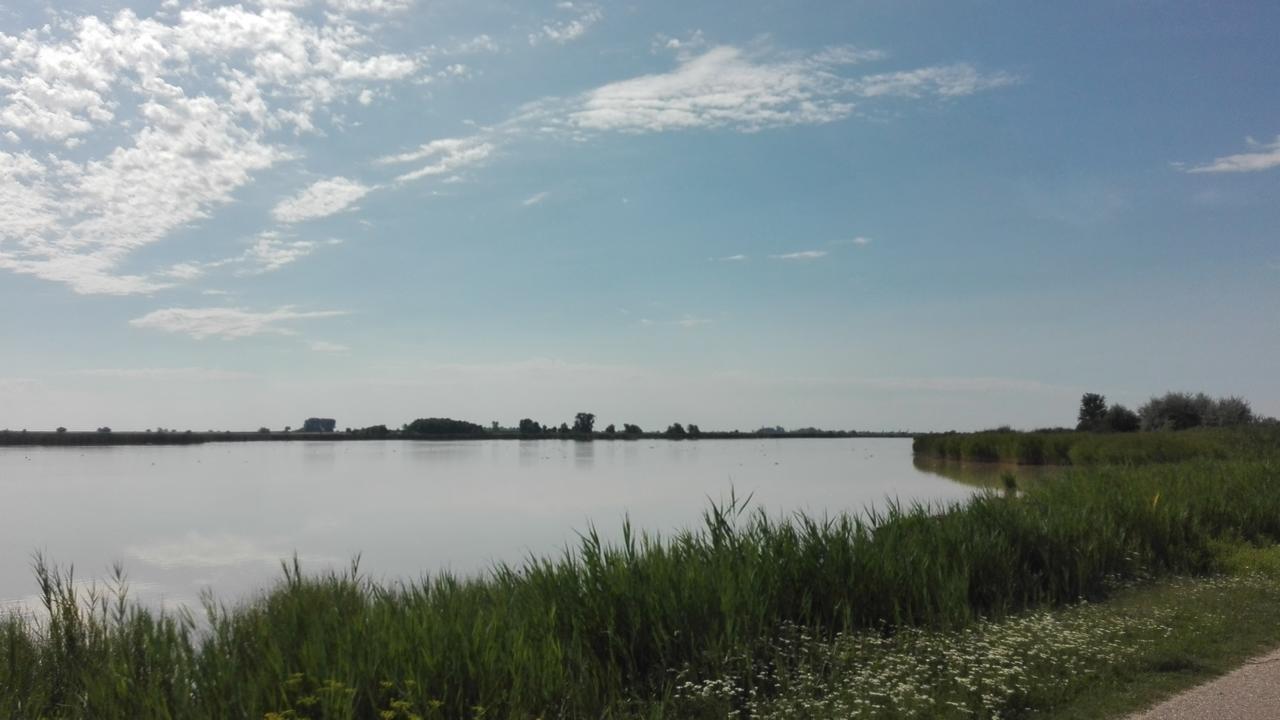 Ferienwohnungen Feldsee إلميتز المظهر الخارجي الصورة
